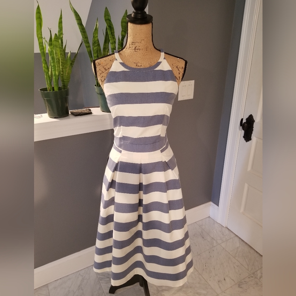 The Limited Striped Dress